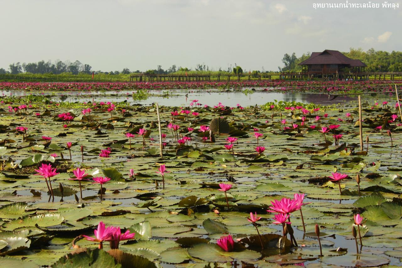 Banpak Suankaew Talaynoi Hotel Phatthalung Eksteriør billede